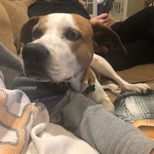 Meet your Posher, Eve